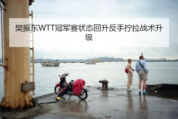 樊振东WTT冠军赛状态回升反手拧拉战术升级